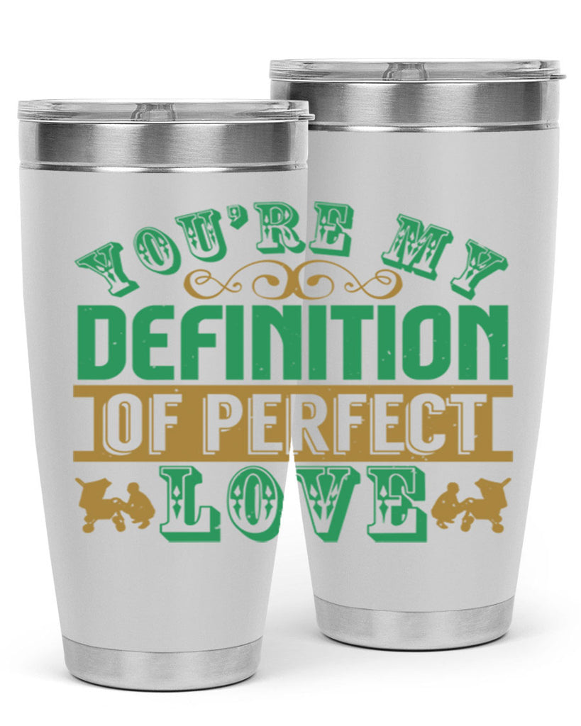 You are my definition of perfect love Style 161#- baby- tumbler