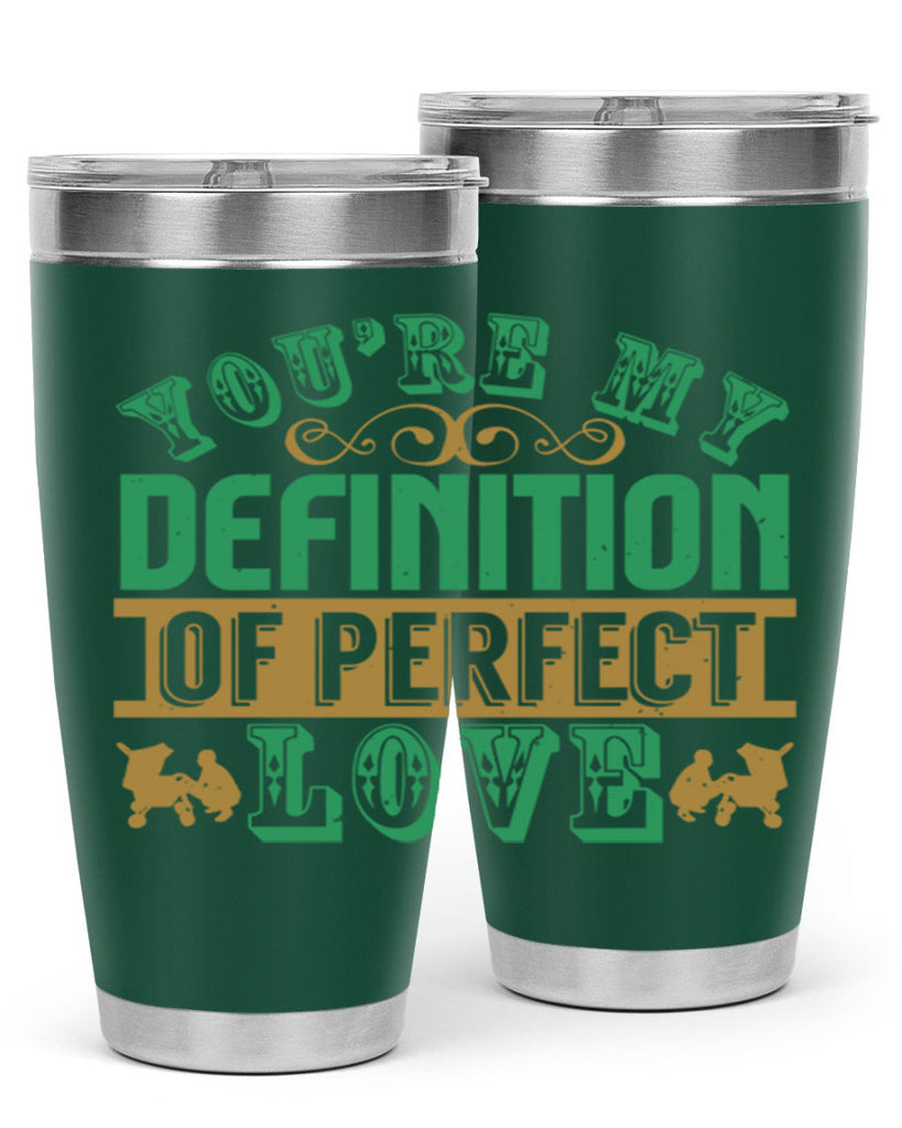 You are my definition of perfect love Style 161#- baby- tumbler