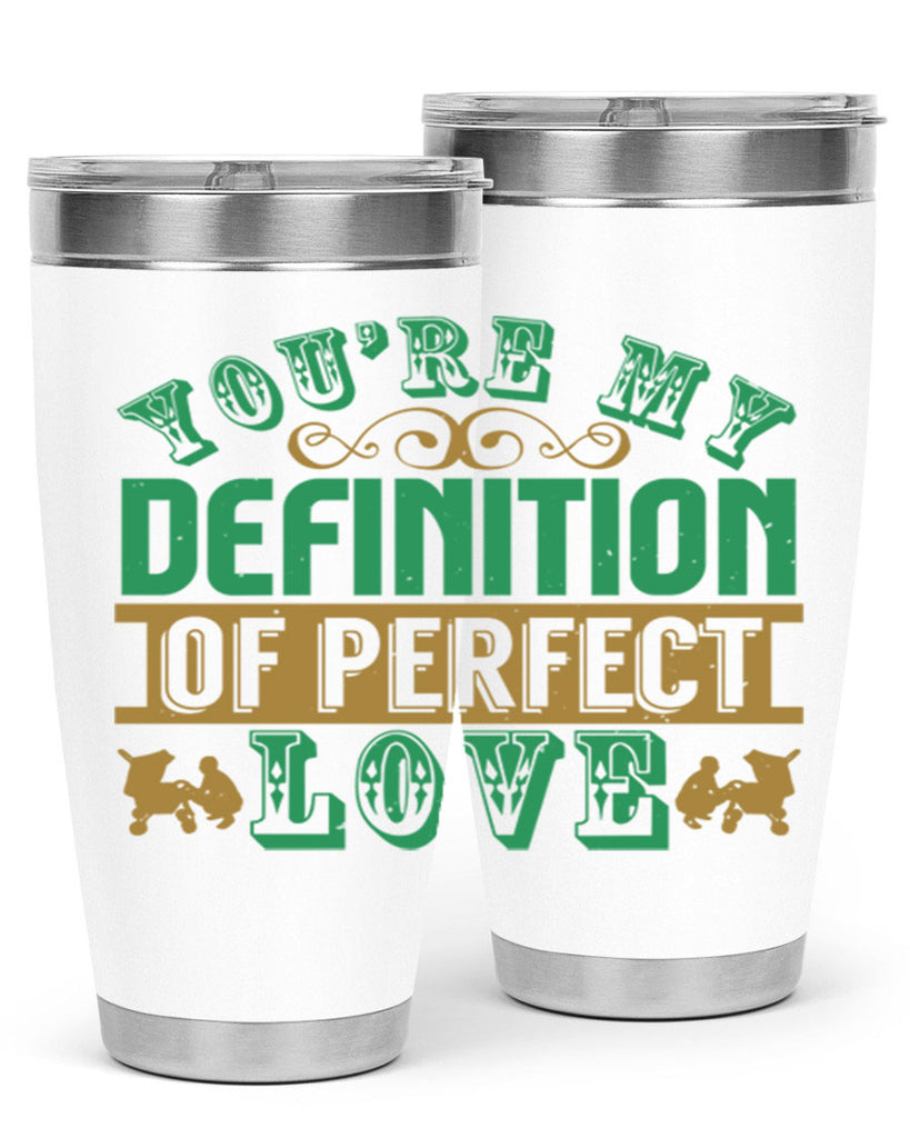 You are my definition of perfect love Style 161#- baby- tumbler