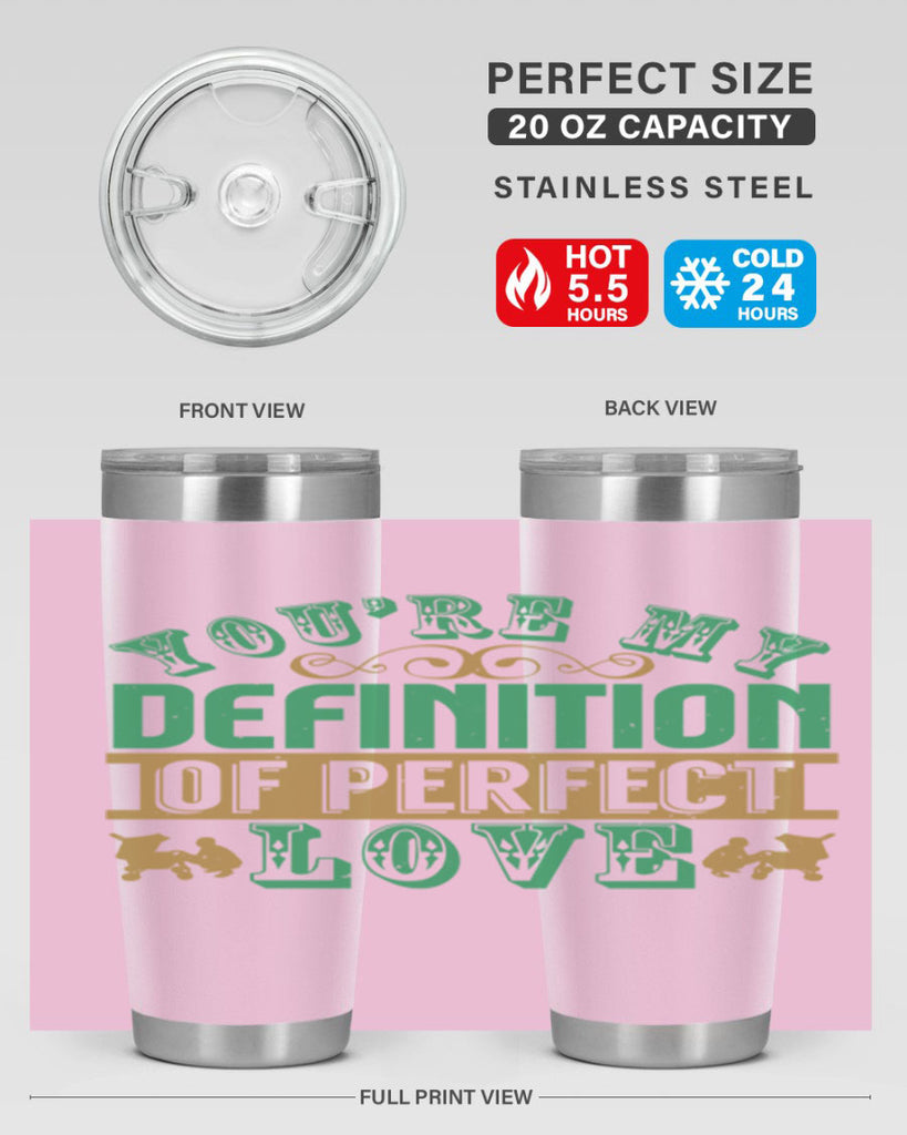 You are my definition of perfect love Style 161#- baby- tumbler