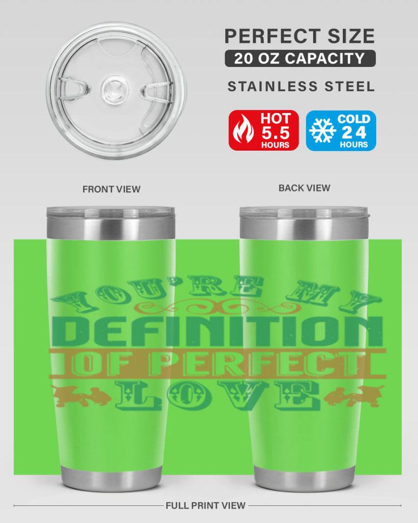You are my definition of perfect love Style 161#- baby- tumbler
